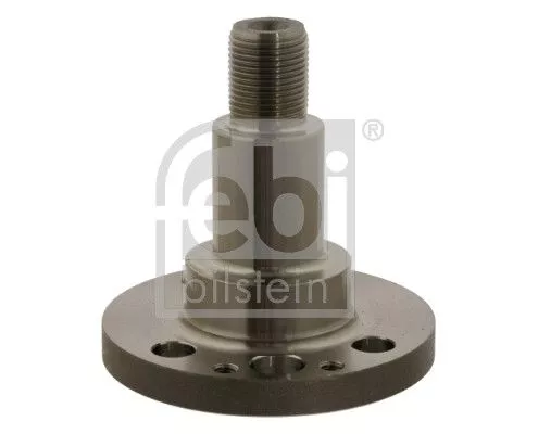 Achszapfen, Achskörper