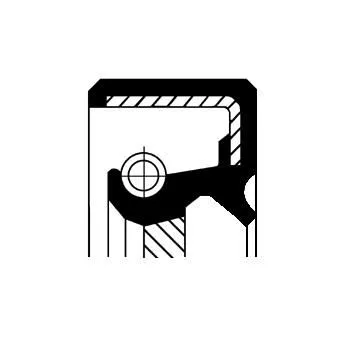 Wellendichtring, Servopumpe