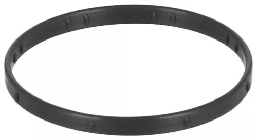 Dichtung, Ansaugkrümmergehäuse