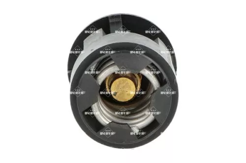 Thermostat, Kühlmittel